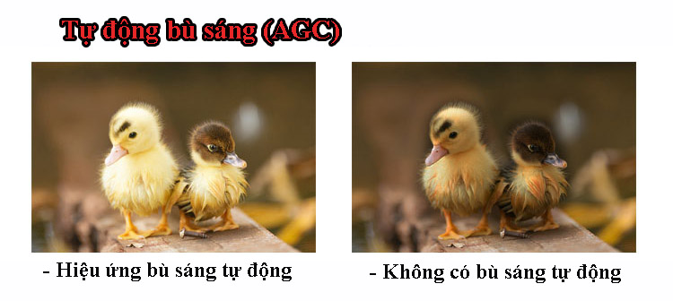 hieu ung bu sang AGC